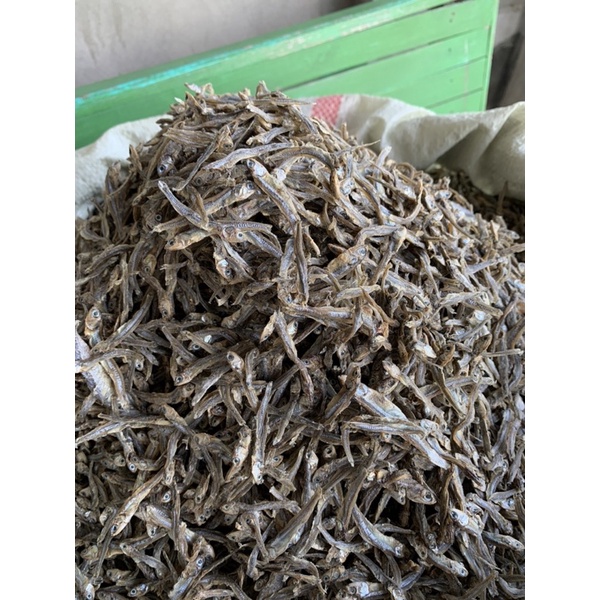 

ikan teri
