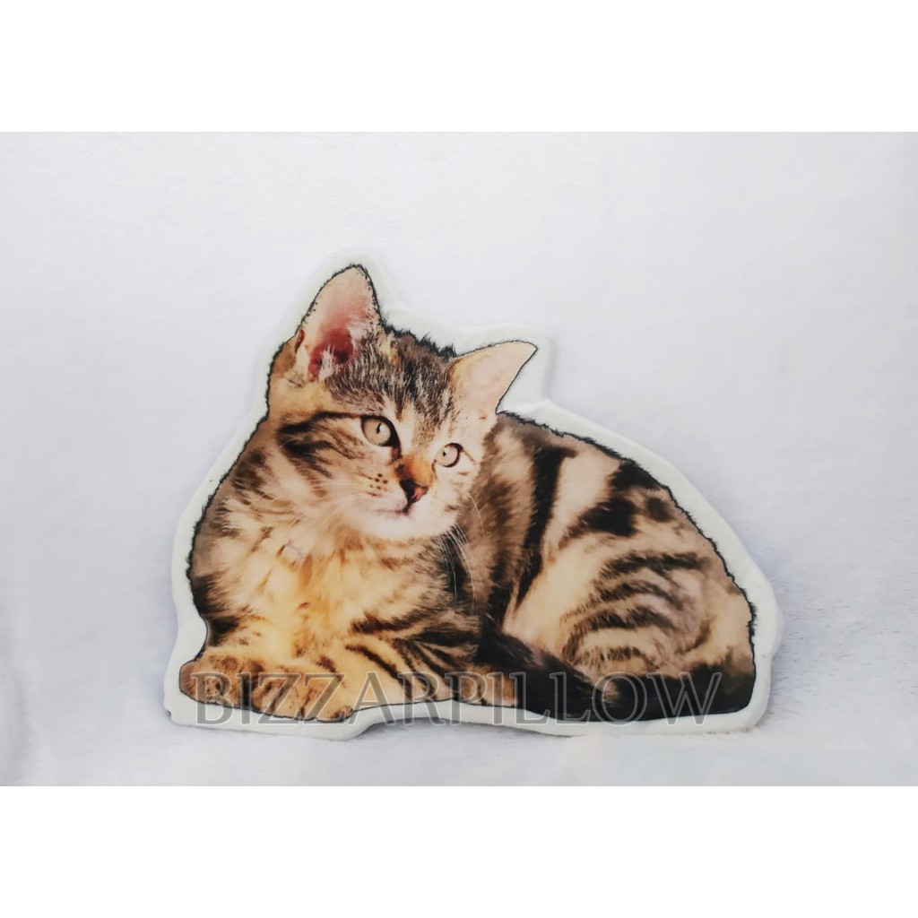 Bizzarpillow Keset Bentuk Ikan Kucing BZ264