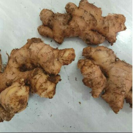 Jahe 1kg kualitas premium