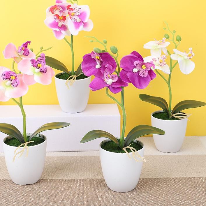 zd   COOGER Bunga  Hias  Anggrek Bunga  Pajangan Hias  