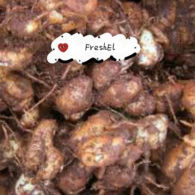

FreshEl - KENCUR 100gr