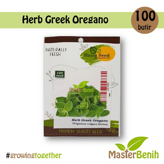 Benih Herba Greek Oregano