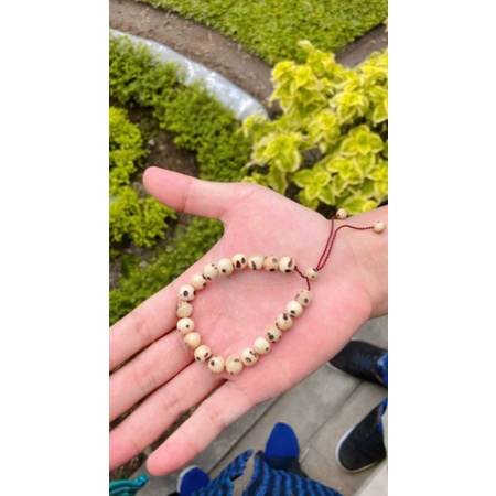 Gelang premium oud sholib 8mm asli mesir