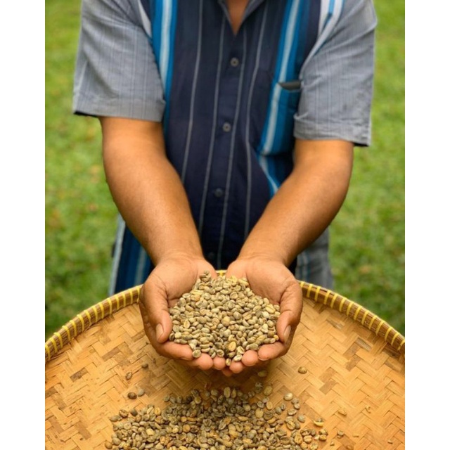 Biji Kopi Robusta Lampung / biji kopi mentah super Fresh grade A berat 1kg