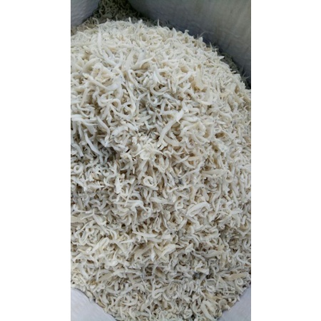 

Teri nasi