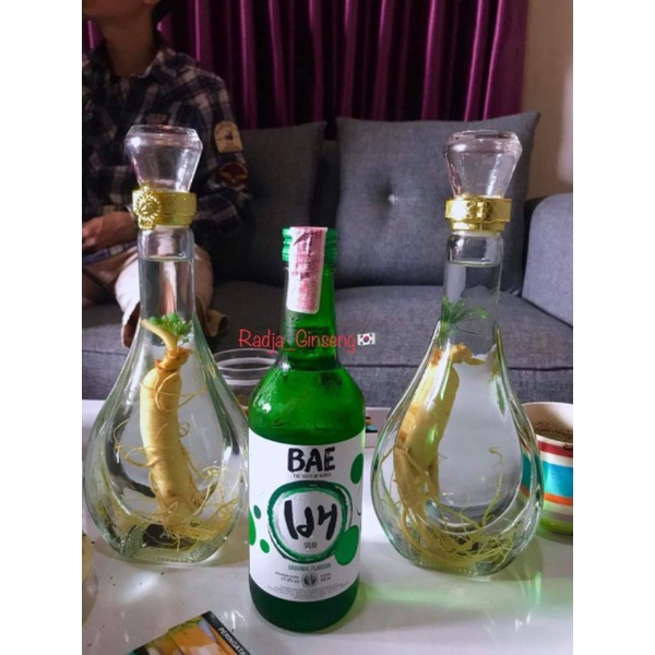 

Ginseng Asli Korea