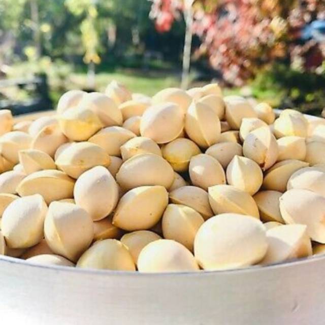 Ginkgo nut pekkoi pekko 1000 g/ 1 kg