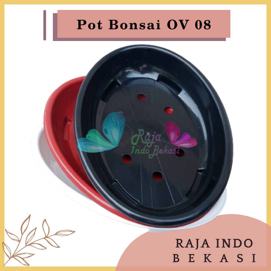 Ori Bjp Bonsai Oval Ov 08 Putih Hitam Merah Bata Coklat Pot Bunga Plastik Bonsai Budi Jaya Motif Batu Alam Ceper PendekPot Bonsai Plastik Keramik Semen Bonsai Mame Kelapa Besar Mini