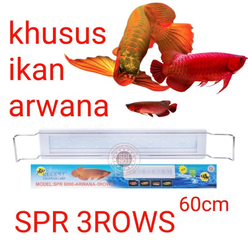 lampu aquarium led khusus ikan arwana SPR 6000 3ROWS