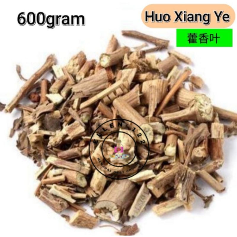[600gram]  Huo Xiang / Fu Xiang Ye - Herba Agastaches Rugosus