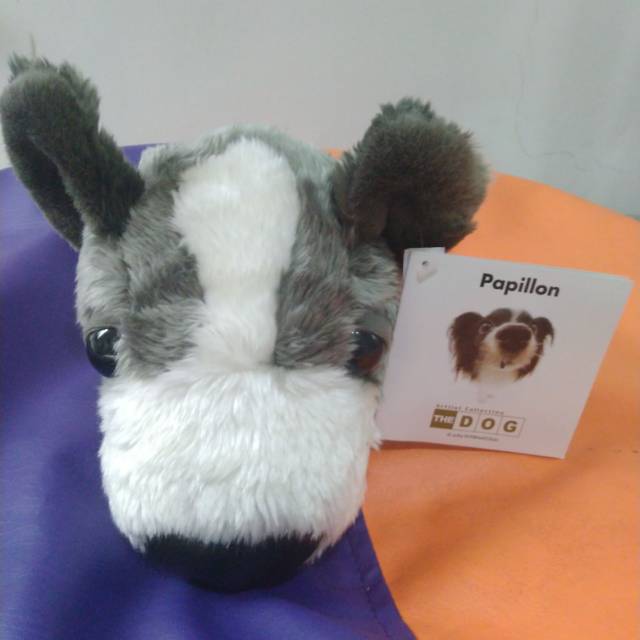 Boneka Anjing *Papillon