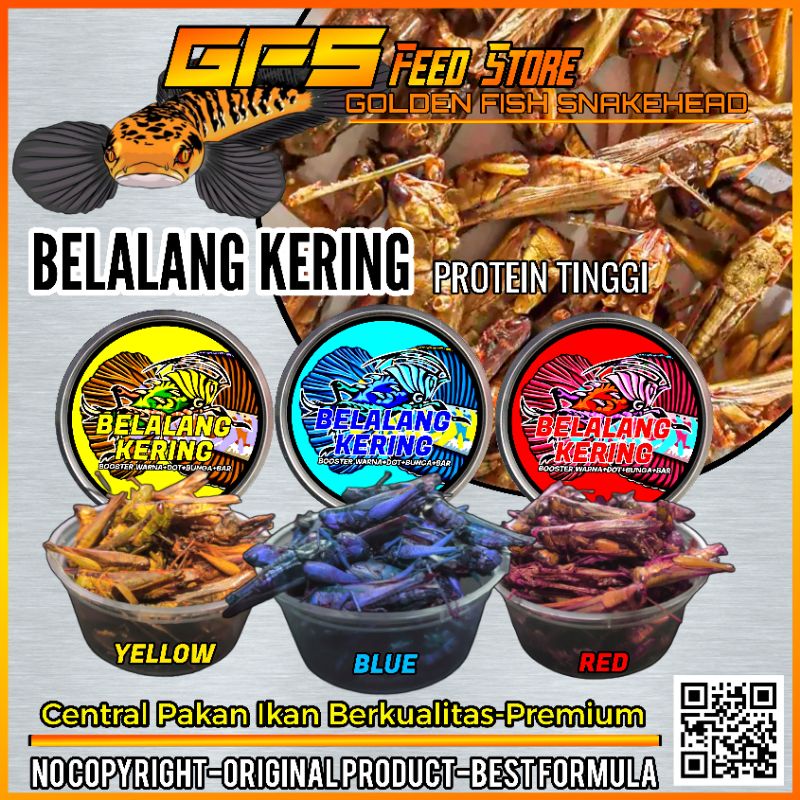 Belalang Kering Kemasan Cup Pakan Ikan Predator