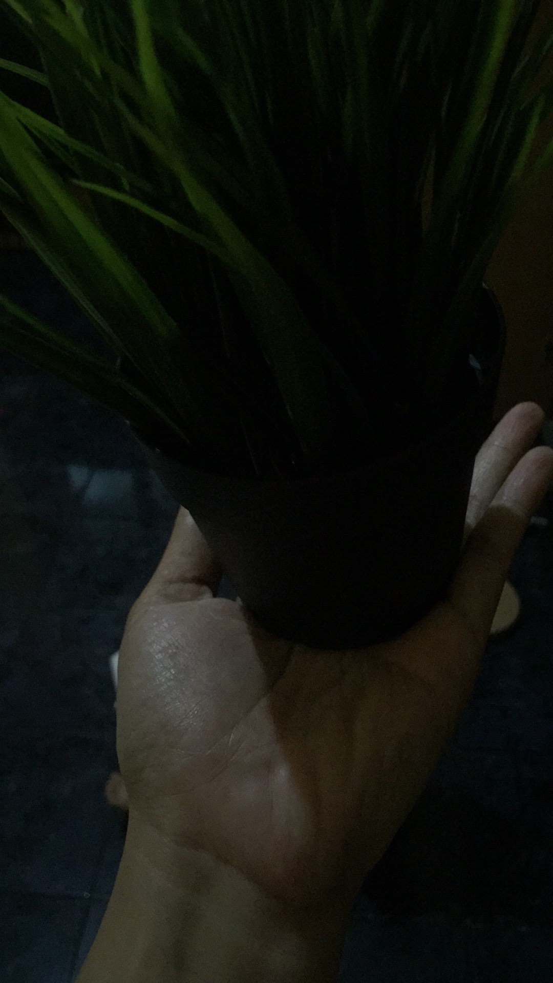 Fejka Tanaman Rumput Tiruan Dalam Pot