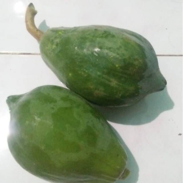 

Pepaya mengkal kualitas premium