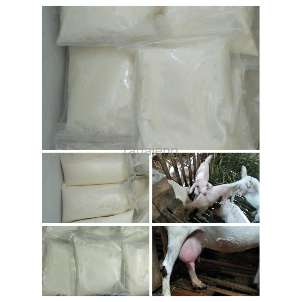 

Susu Kambing Etawa Cair