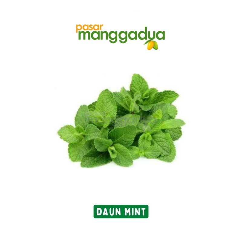 

Daun Mint 500 Gram / Produk Musiman