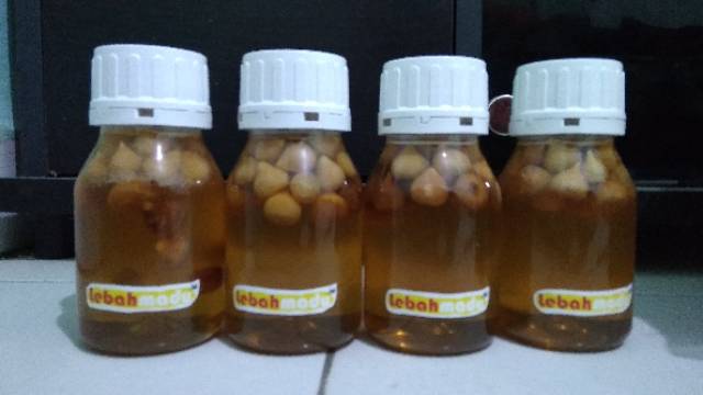 [Kikuk*] Madu Bawang Tunggal Lanang 340 gr-5