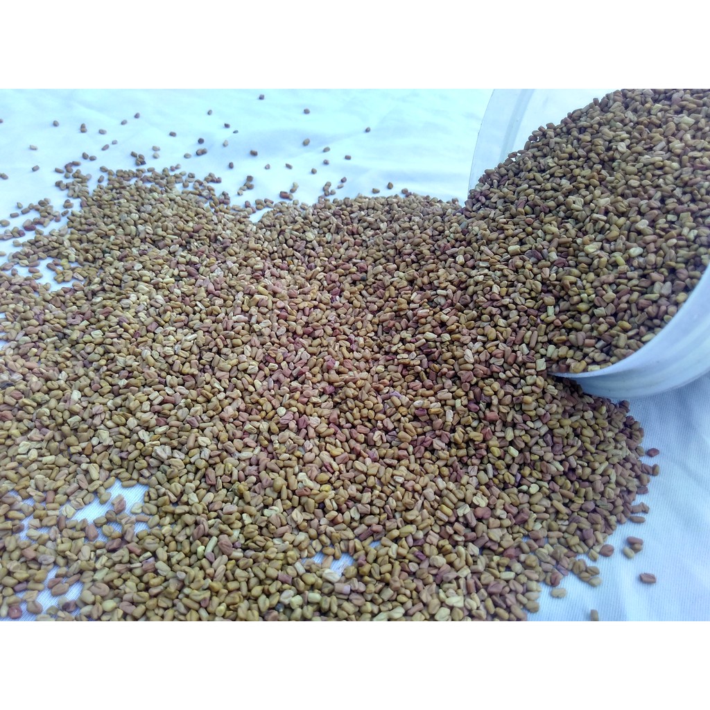 

Biji Klabet/fenugreek bumbu dapur herbal 100gr