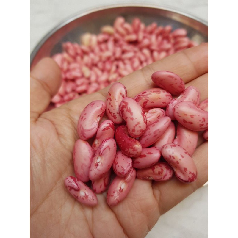 KIRIM INSTAN Kacang Merah Kupas Segar 200gr