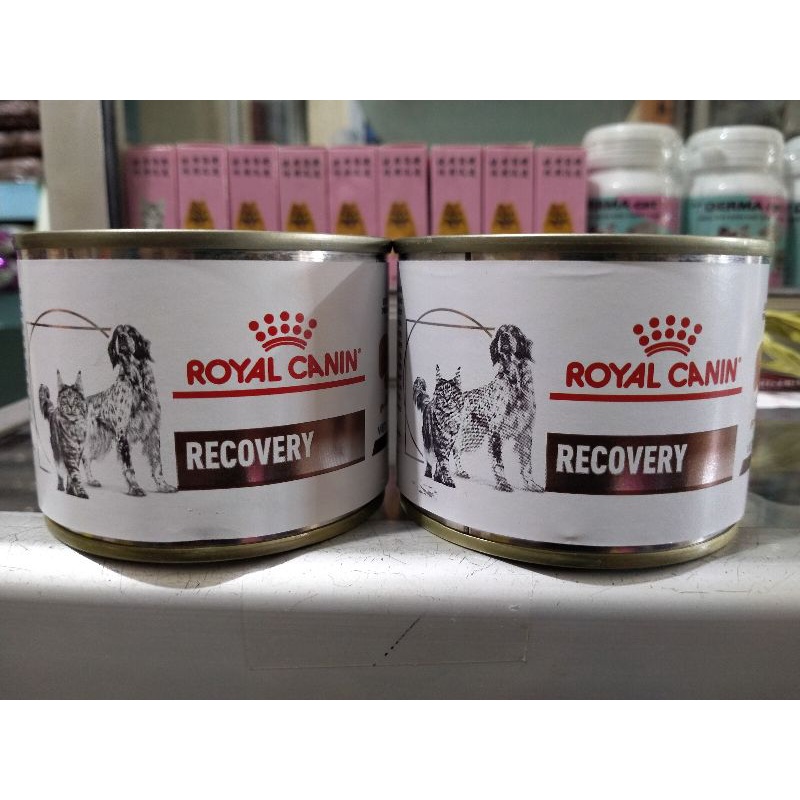 ROYAL CANIN RECOVERY 195 Gram