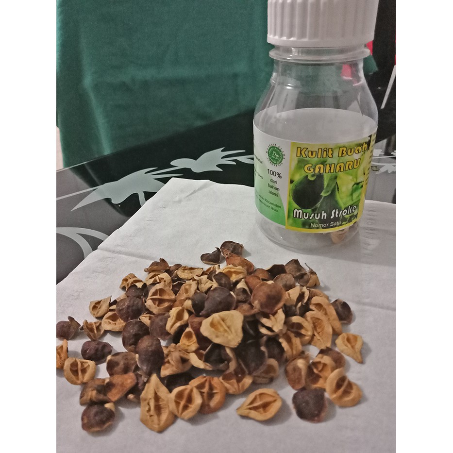 

Kulit Buah Gaharu (Aquilaria malaccensis)