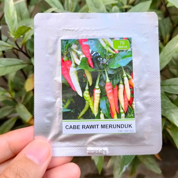 benih sayur - benih buah - benih sayuran - benih tomat - benih cabe - benih selada - benih bayam - benih terong - benih pakchoy -RS-Rawit runduk