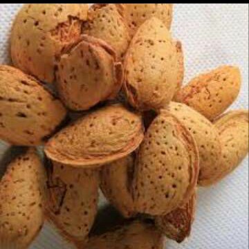 

Kacang Almond 500gram