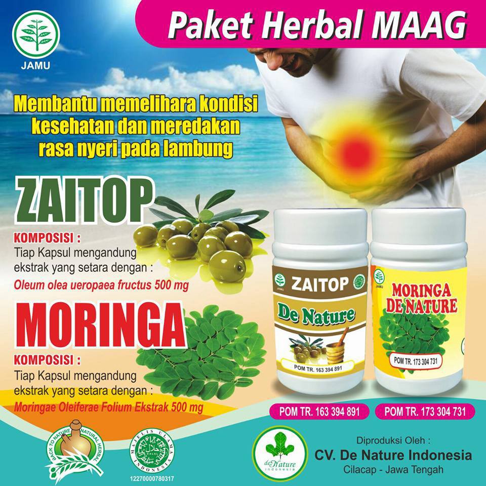 

Obat Herbal Sakit Maag