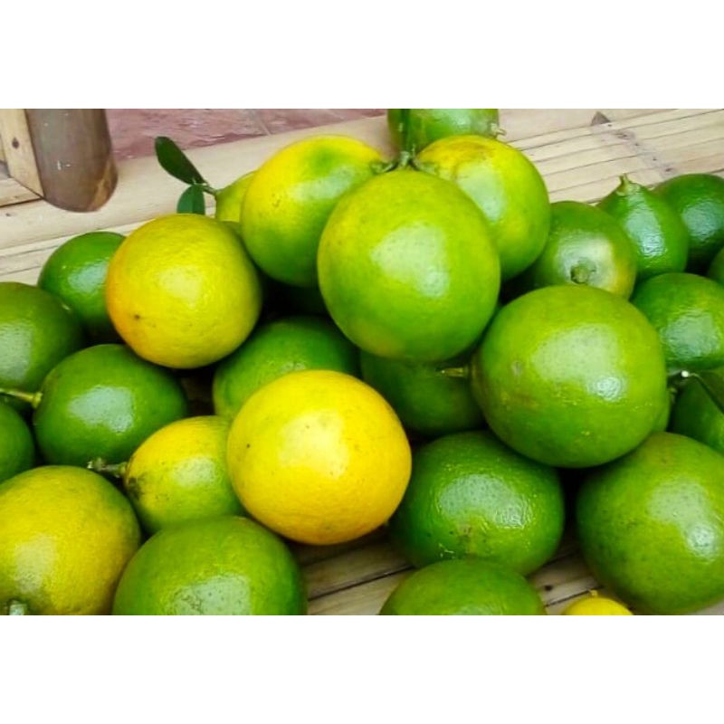 

Lemon California