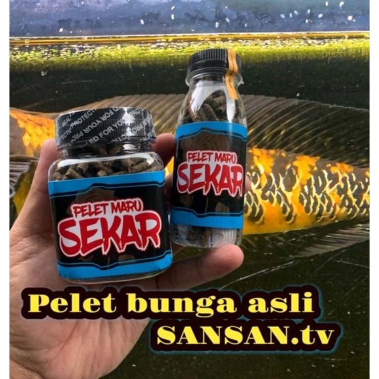 Pelet Sekar Sansan TV treatmen bunga channa maru Pelet Cana