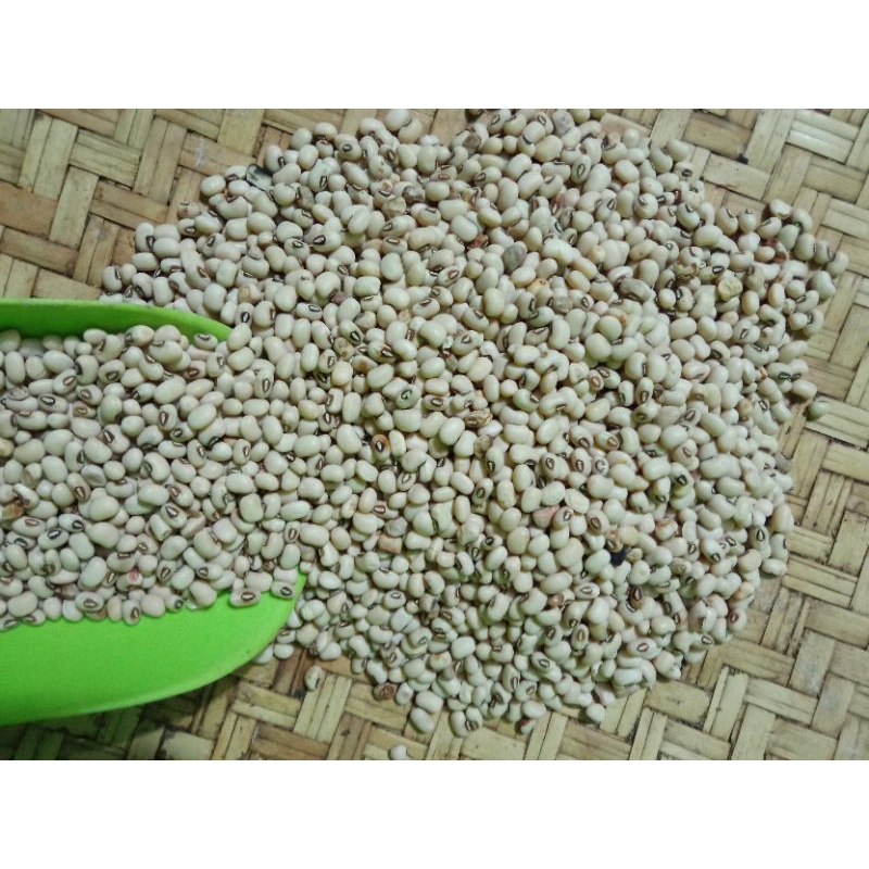 

kacang putih