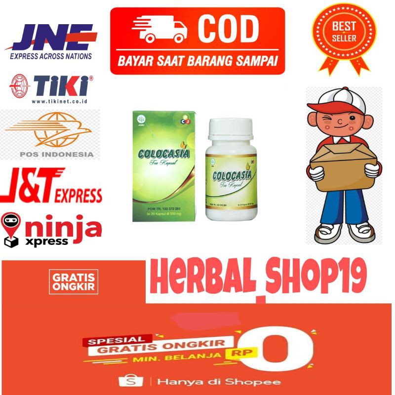 COLOCASIA ASLI OBAT COLOCASIA ORIGINAL OBAT SENDI SUPLEMEN MENGATASI TULANG SENDI HERBAL BPOM TOCKER
