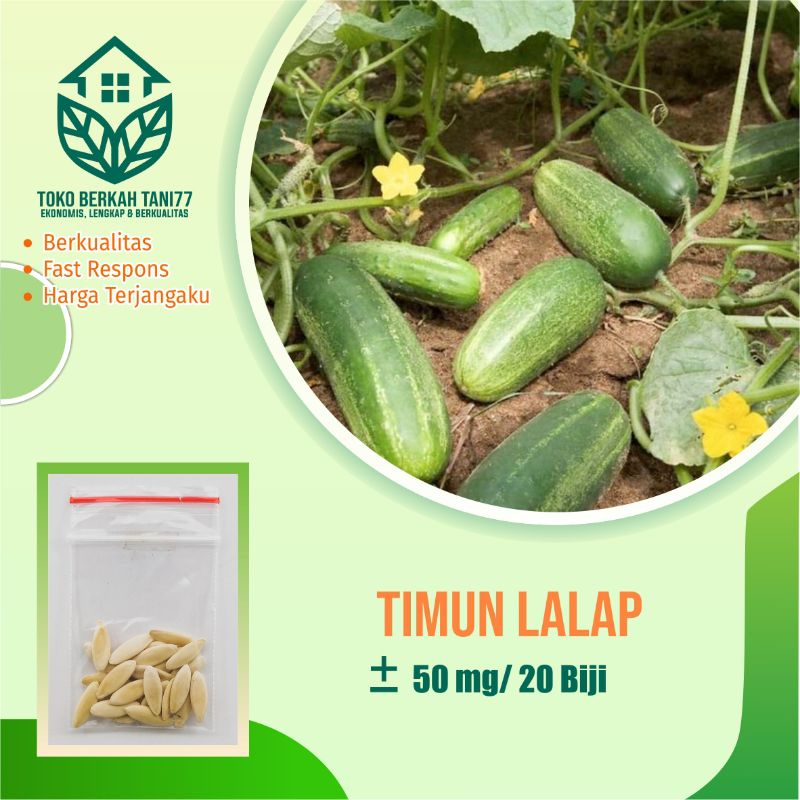 Benih Bibit Timun Lalap Hijau F1 Unggul Berkualitas Bibit Sayur Sayuran
