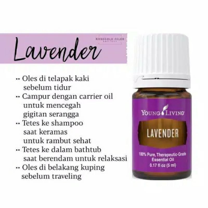 lavender young living essential oil