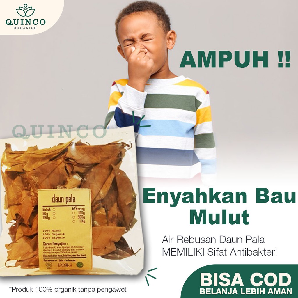 

Rempah Asli Obat Bau Mulut Herbal Daun Pala Kering 100 gr Organik Makanan Kesehatan Instan Jsr R150