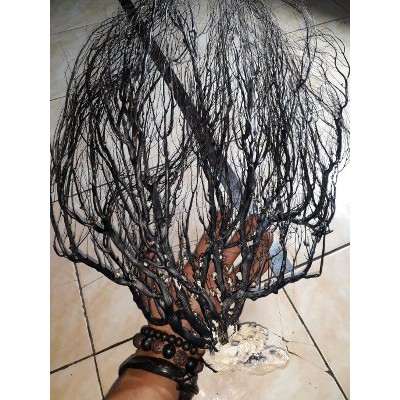 POHON BAHAR AKAR LAUT BAHAN GELANG BAHAR A20 Terlaris