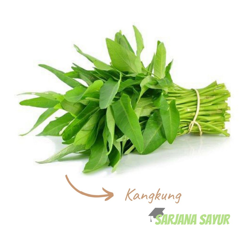 

Sayur Kangkung per ikat / Sarjana Sayur