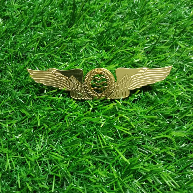 

BREVET TERLA (Terbang layang) para layang TNI AU