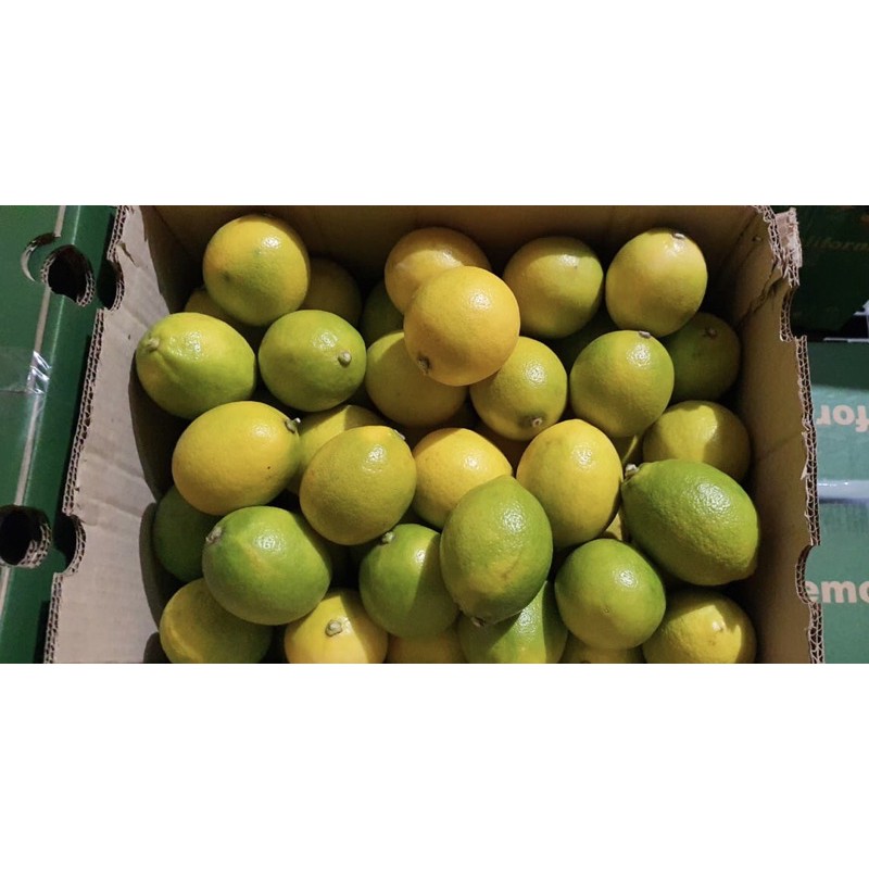 

Lemon Fresh