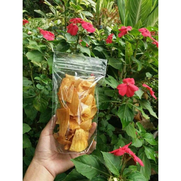 

KERIPIK SUKUN