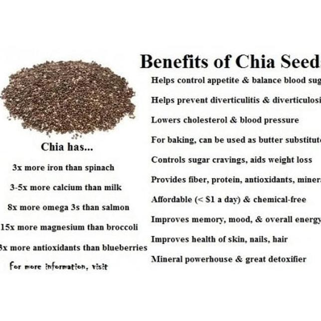 

Natural Black Chia Seed 5Kg Asharyhitam33Shop