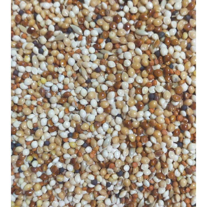pakan perkutut lokal 1kg raja pakan bijian milet mix