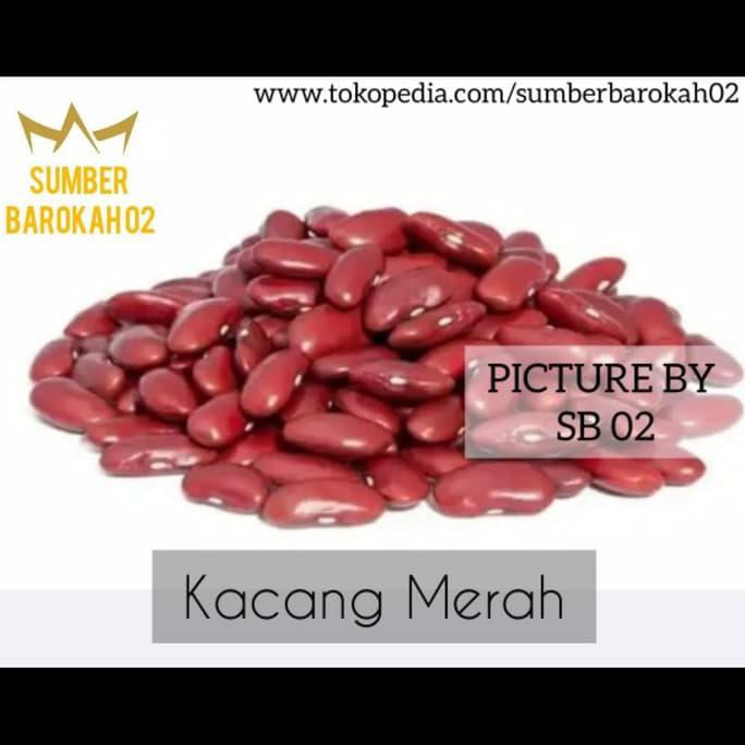 

Kacang Merah 250Gr Titanium.Store1