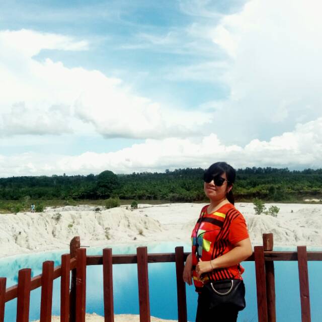 novinia