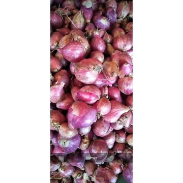 

bawang merah 250gr