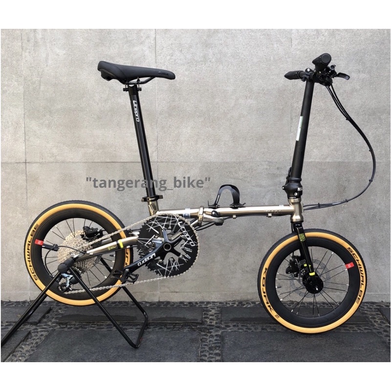 Fnhon Gust Discbrake Titanium 16 Inch Plus 10 Speed