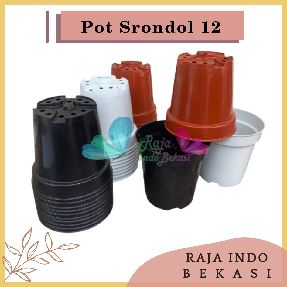 LUSINAN 12PCS Pot Tinggi Srondol 12 Putih Hitam Merah BataTerracota Terracotta Merah Coklat - Pot Tinggi Usa Eiffel Effiel 18 20 25 Lusinan Pot Tinggi Tirus 15 18 20 30 35 40 50 Cm Pot Bunga Plastik Lusinan Pot Tanaman Pot Bibit Besar Mini Kecil