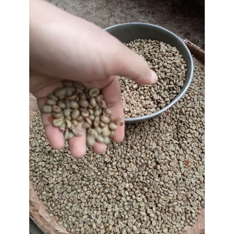 Kopi Biji Robusta Temanggung Green Bean Robusta Kopi Mentah Siap Sangrai Bahan Baku Kopi Bubuk