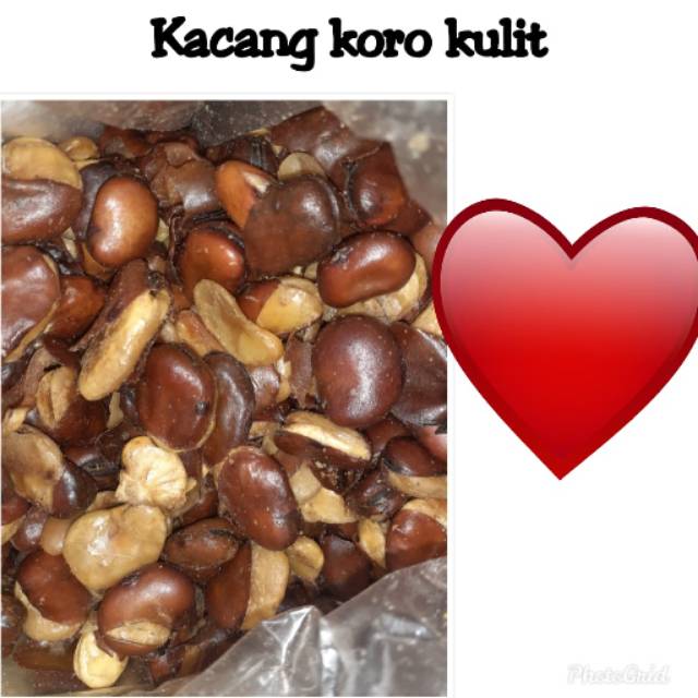 

Kacang koro kulit