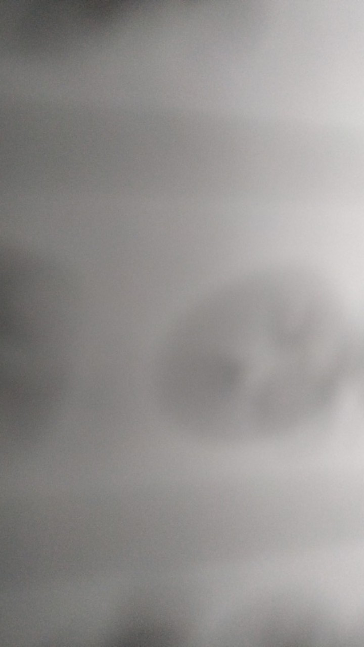 Daun Rambat Plastik Palsu Artificial Hiasan Dekorasi Dinding/daun Artificial